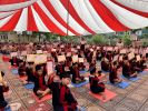 Rung Chuong Vang Khoi 123 2